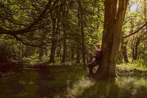 Laurence Sweeney Photography - Gosforth Park Trees Newcastle