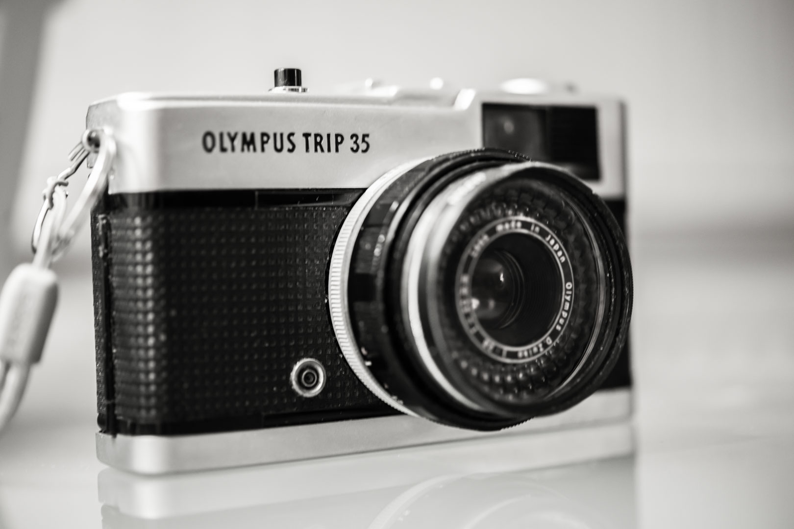 Which Camera for Christmas
